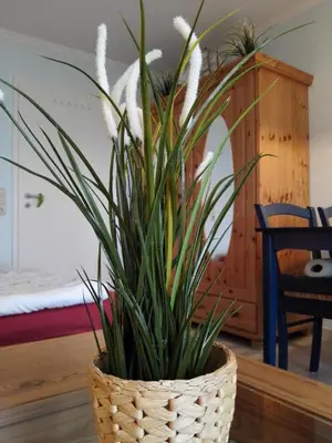 Grundriss der Unterkunft 180° Panoramameerblick - Ferienwohnung Sandkorn