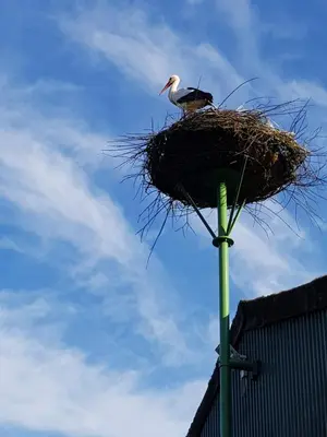 Grundriss der Unterkunft Biolandhof Dorn Highlander vom Elbdeich