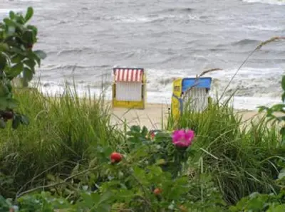 Naturlandschaft in der Nähe der Ferienwohnung