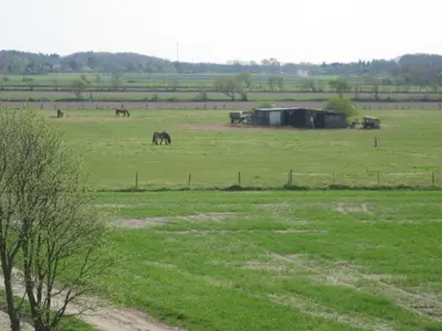 Tiere in der Ferienwohnung oder in der Nähe
