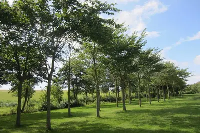 Ein Garten an der Unterkunft Ferienwohnung MeinFriKo