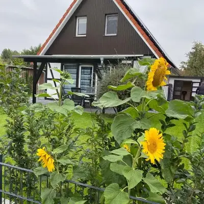 Ferienhaus Kiebitz