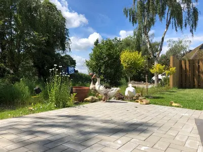 Ein Garten an der Unterkunft Ferienhaus Malte Büsch