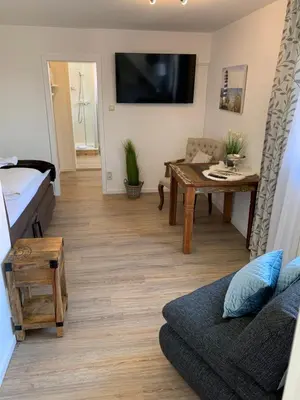 TV/Unterhaltungsangebot in der Unterkunft Haus Schatz am Meer Appartement 12 für 1 Person Schatzkammer