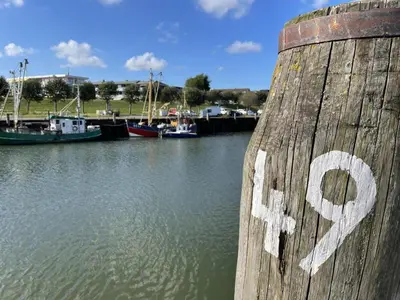 Naturlandschaft in der Nähe der Ferienwohnung