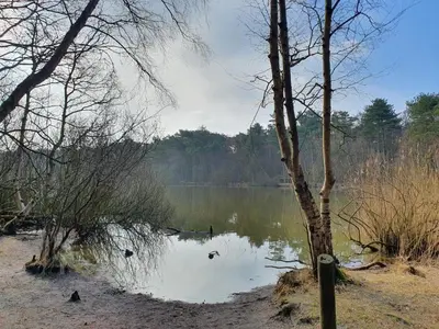 Naturlandschaft in der Nähe der Ferienwohnung
