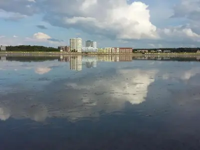 Blick auf einen Fluss in der Nähe der Ferienwohnung