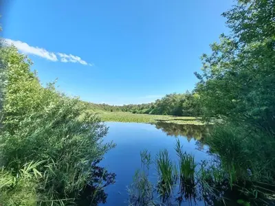 Naturlandschaft in der Nähe der Ferienwohnung