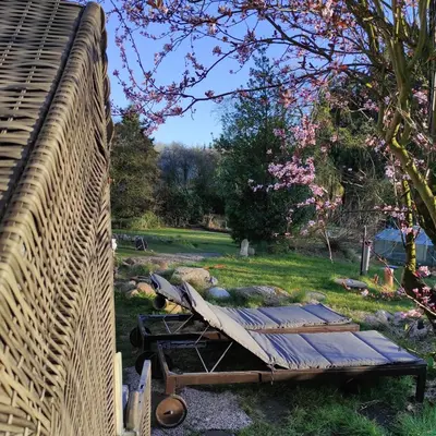 Ein Garten an der Unterkunft Casa Foresta - minimalistisches 1-Raum Tiny House direkt am Wald