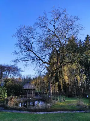 Naturlandschaft in der Nähe des Ferienhauses