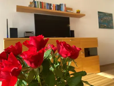 TV/Unterhaltungsangebot in der Unterkunft Oasis 10