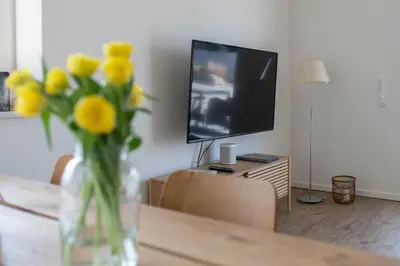 TV/Unterhaltungsangebot in der Unterkunft Haus Lütt Schick Apartment Feenja
