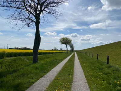 Naturlandschaft in der Nähe des Privatzimmers