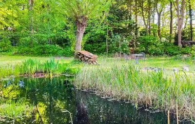 Naturlandschaft in der Nähe des Ferienhauses