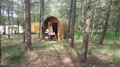 Gäste, die in der Unterkunft Glamping Pod übernachten