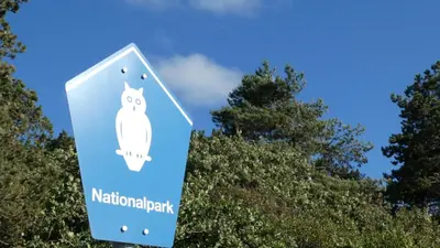 Naturlandschaft in der Nähe der Ferienwohnung