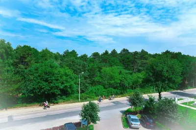 Naturlandschaft in der Nähe der Ferienwohnung
