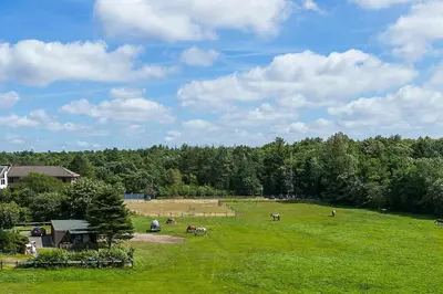 Naturlandschaft in der Nähe der Ferienwohnung