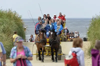 Gäste, die in der Unterkunft Haus Nordseebrandung NC52 übernachten