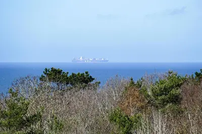 Naturlandschaft in der Nähe der Ferienwohnung