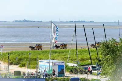 Naturlandschaft in der Nähe der Ferienwohnung