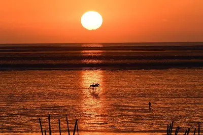 Naturlandschaft in der Nähe der Ferienwohnung