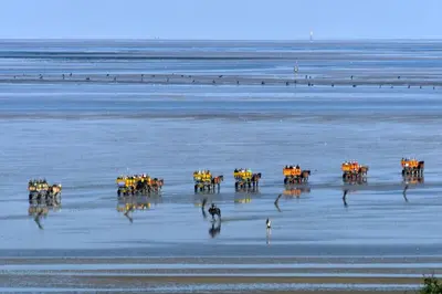 Naturlandschaft in der Nähe der Ferienwohnung
