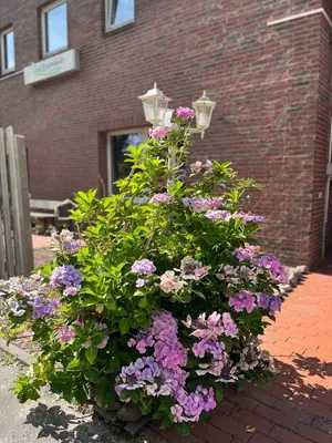 Ein Garten an der Unterkunft Connect 9.1
