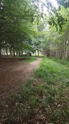 Naturlandschaft in der Nähe des Campingplatzes