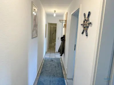 Haustiere von Gästen der Unterkunft Haus Elbstrom Döse Whg 11