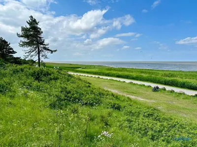 Naturlandschaft in der Nähe der Ferienwohnung