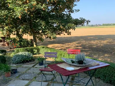 Ein Garten an der Unterkunft Ferienhof Schoof No4