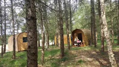 Ein Garten an der Unterkunft Glamping Pod im Wald mit Hund