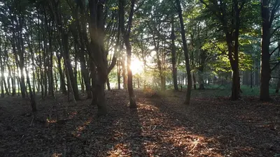 Naturlandschaft in der Nähe des Campingplatzes
