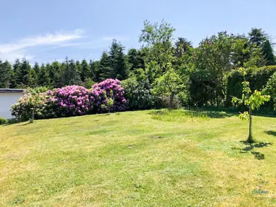 Naturlandschaft in der Nähe des Ferienhauses