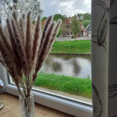 Blick auf einen Fluss in der Nähe der Ferienwohnung