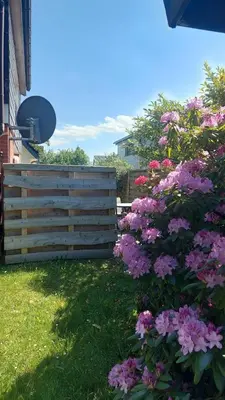Ein Garten an der Unterkunft Kampweg 28